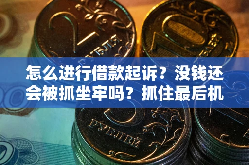 武汉怎么进行借款起诉？没钱还会被抓坐牢吗？抓住最后机会！