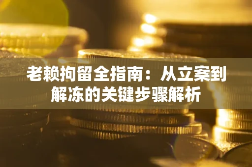 武汉老赖拘留全指南：从立案到解冻的关键步骤解析