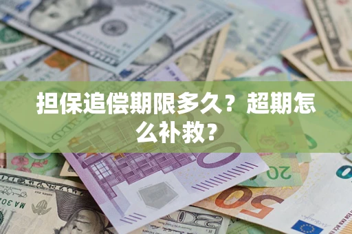 武汉担保追偿期限多久？超期怎么补救？